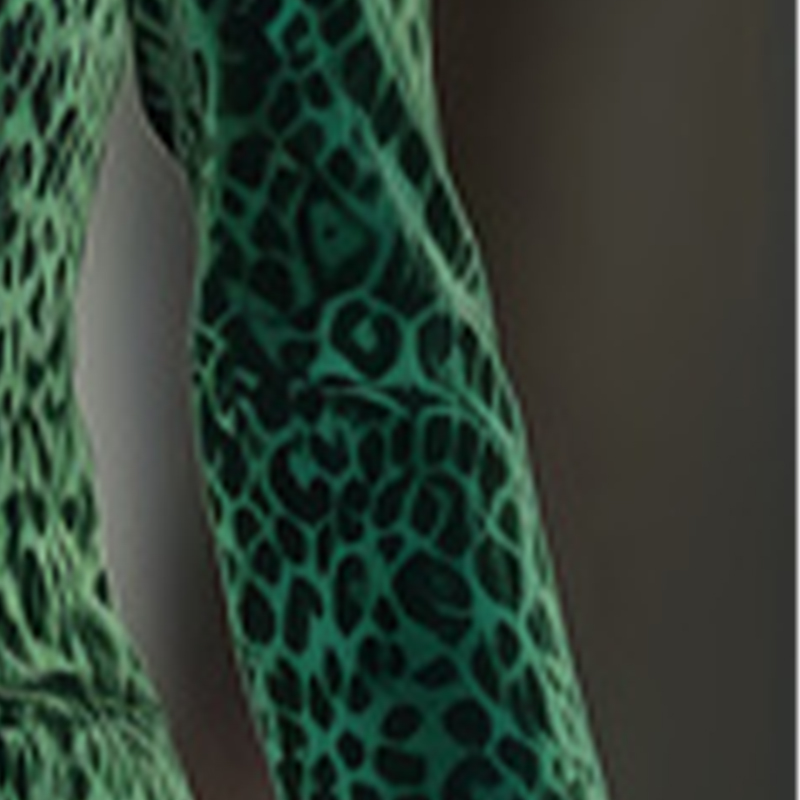 Velvet Blazer Vintage - Fashion Women Leopard Print Slim Velvet